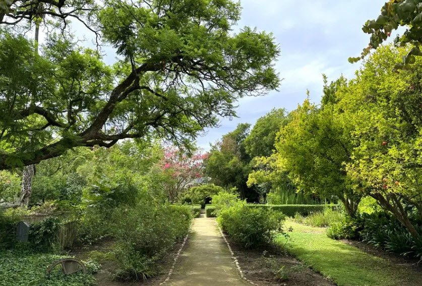 Stellenbosch University Botanical Garden, South Africa